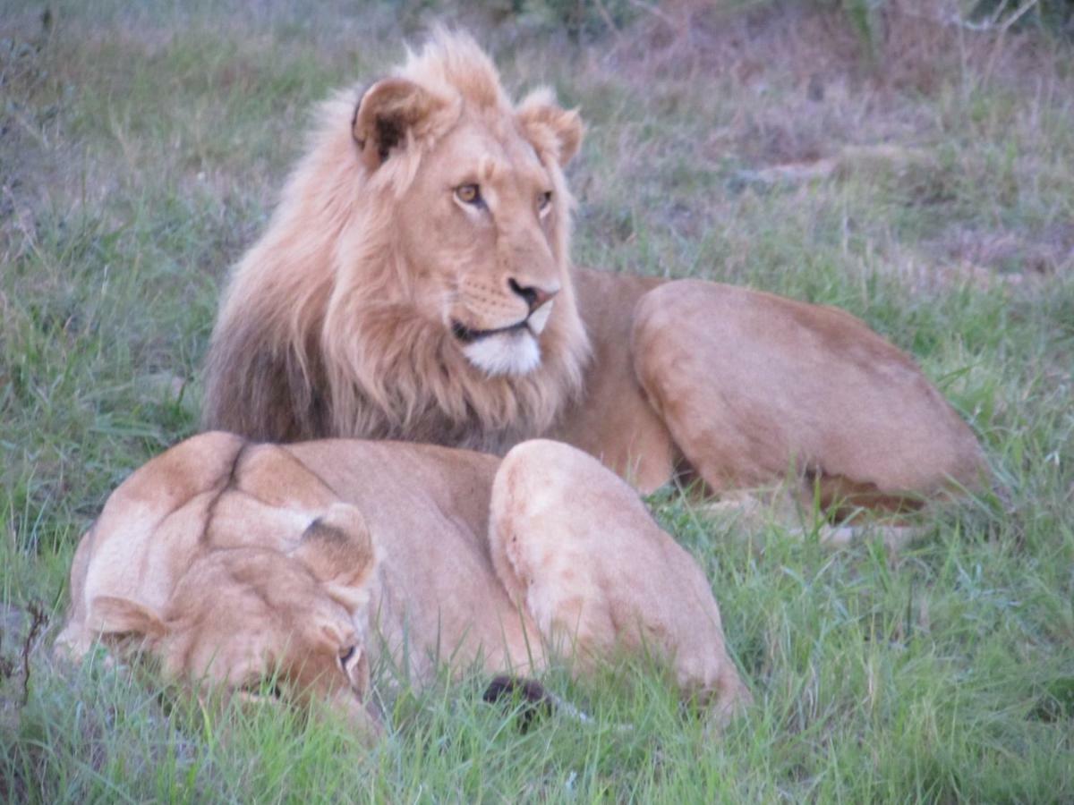 كولشستر Addo Gateway Lodge المظهر الخارجي الصورة